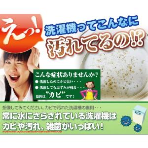 エスケー石鹸 すっきり洗濯槽クリーナー500g...の詳細画像1