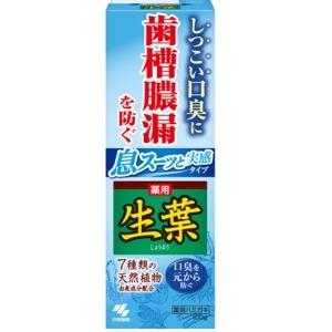 小林製薬　生葉 息スーッと実感タイプ 薬用ハミガキ １００ｇ