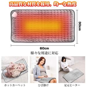 超PayPay祭 電気カーペット ホットカーペ...の詳細画像2