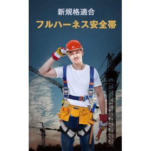 スーパーセール 新規格適合 フルハーネスセット...の詳細画像1