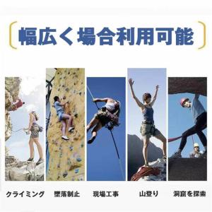 スーパーセール 新規格適合 フルハーネスセット...の詳細画像2