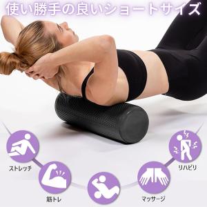 ヨガポール 日本代表選手も使用 フストレッチ用...の詳細画像1