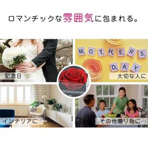 スーパーセール プリザーブドフラワー バラ ア...の詳細画像5