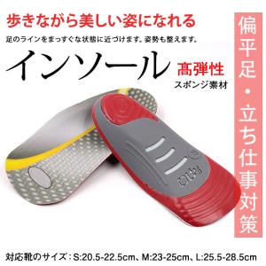 IRERUDAKE インソール 中敷き 扁平足 姿勢 RiCAM イレルダケ 外反母趾