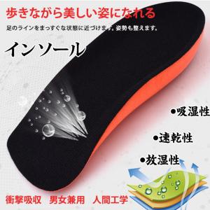 イレルダケ　インソール　姿勢改善　IRERUDAKE 中敷き　23cm IRERUDAKE インソール 中敷き 扁平足 姿勢 RiCAM イレルダケ 外反母趾