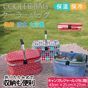 [ 新品未使用 ] 柳のピクニックバスケット(クーラーボックス) cdri1717_1.jpg