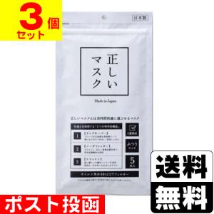 (ポスト投函)正しいマスク ふつうサイズ 5枚入(3個セット)