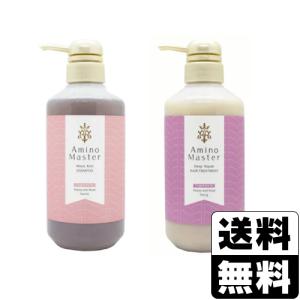 モイストリッチシャンプー 10本セット アミノマスター（AMINO MASTER） モイストリッチ シャンプー