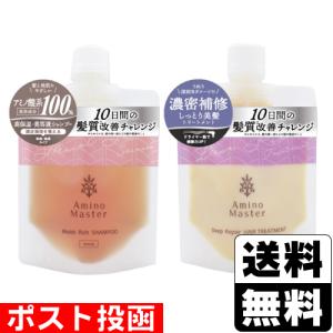モイストリッチシャンプー 10本セット アミノマスター（AMINO MASTER） モイストリッチ シャンプー