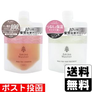 モイストリッチシャンプー 10本セット モイストリッチシャンプー 10本セット アミノマスター（AMINO MASTER