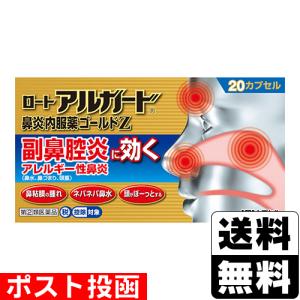  ロートアルガード鼻炎内服薬ゴールドZ 20カプセル