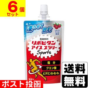 大塚製薬 ポカリスエット アイススラリー 6袋 100g パウチ 熱中症対策