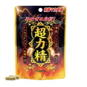 (ポスト投函)(ユウキ製薬)スタンドパック 超力精 40カプセル入｜zagzag