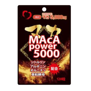 (ポスト投函)(ユウキ製薬)スタンドパック マカパワー5000 (120粒入)