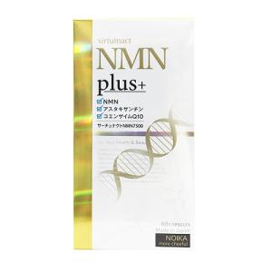 アディオ　イフ audient EVO 16 オーディオインターフェース オーディエント | 島村