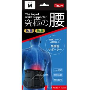 ACT（アクト） 高機能サポーター 究極の腰 XLサイズ 1枚入 : ザグザグ