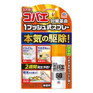 (アース製薬)アースコバエ 1プッシュ式スプレー 60回分(15ml)