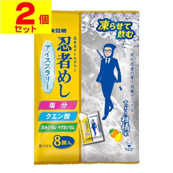 (ポスト投函)(UHA)忍者めしアイススラリー すっきり柑橘味 袋 176g(22g×8個入)(2個...