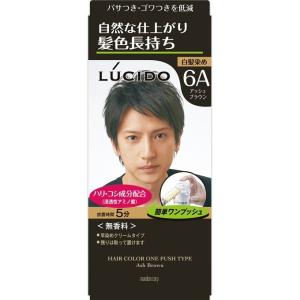 (マンダム)LUCIDO (ルシード) ワンプッシュケアカラー アッシュブラウン 50g＋50g｜zagzag