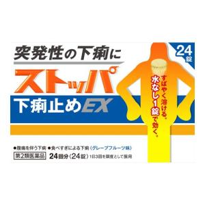 (第2類医薬品)(ライオン)ストッパ下痢止めEX 24錠｜zagzag