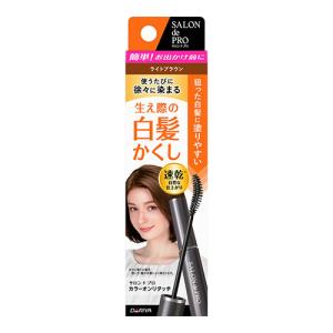 (ポスト投函)(ダリヤ)サロンドプロ カラーオンリタッチ白髪かくし EX ライトブラウン 15ml｜zagzag