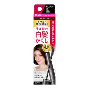 (ポスト投函)(ダリヤ)サロンドプロ カラーオンリタッチ 白髪かくしEX ダークブラウン 15ml｜ザグザグ通販プレミアム ヤフー店