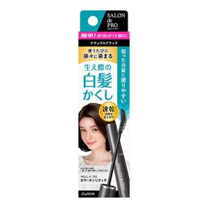 (ポスト投函)(ダリヤ)サロンドプロ カラーオンリタッチ 白髪かくしEX ナチュラルブラック 15ml｜ザグザグ通販プレミアム ヤフー店