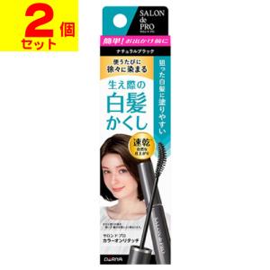 (ポスト投函)(ダリヤ)サロンドプロ カラーオンリタッチ 白髪かくしEX ナチュラルブラック 15ml(2個セット)｜ザグザグ通販プレミアム ヤフー店