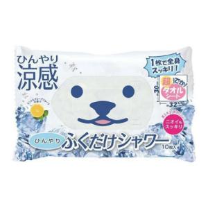 ひんやり ふくだけシャワー 10枚入の商品画像