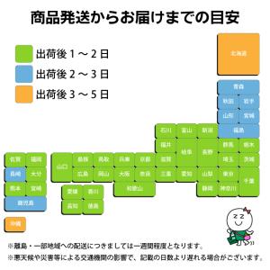 (ポスト投函)ひんやりシャツシャワーストロング...の詳細画像3