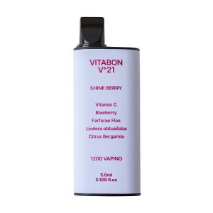 (ポスト投函)ビタボン V(ヴィ)21 シャインベリー 5.0ml