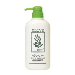 Liese (花王)リーゼ ブラッシングケア 190g : ザグザグ通販プレミアム