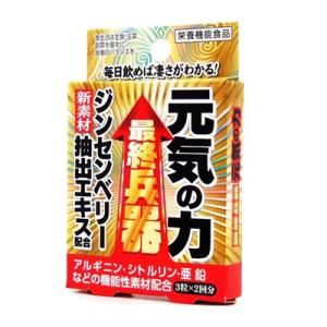(ポスト投函)最終兵器 元気の力 3錠×2包入