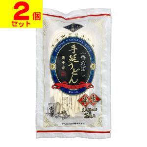 (ポスト投函)(かも川手延素麺)一番のばし半生手延うどん 個食 200g(2個セット)｜zagzag