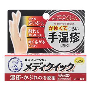 第 2 類医薬品 セ税 ロート製薬 メンソレータム メディクイック