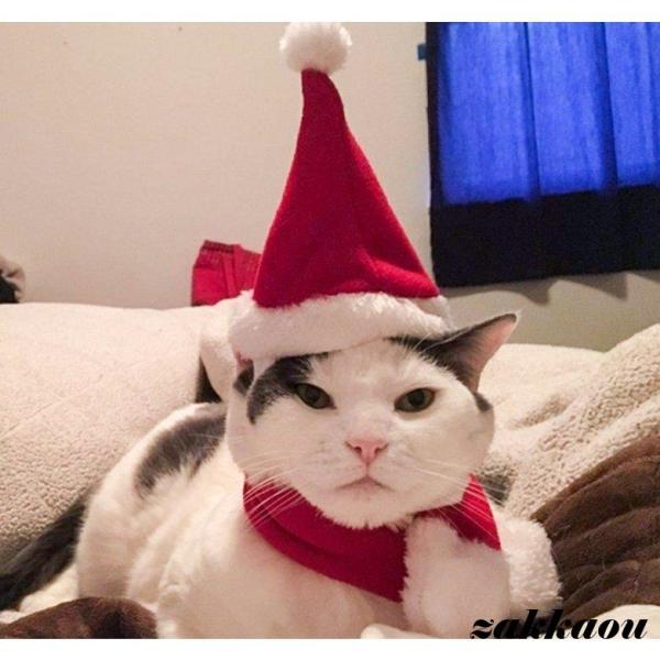 ペット 服 クリスマス ドッグウェア 犬服 猫服 帽子 スカーフ コスプレ 衣装 コスチューム ペッ...