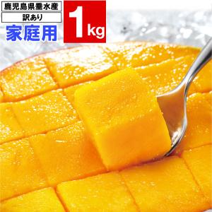 財宝 マンゴー 温泉マンゴー 鹿児島県 垂水産 1kg 1箱 2〜3玉入 化粧箱