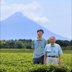 お茶 緑茶 お茶だもん 500ml 24本 ペ...の詳細画像5