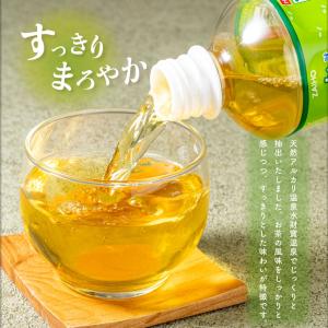 お茶 緑茶 ペットボトル ミニ かごんま緑茶 ...の詳細画像4