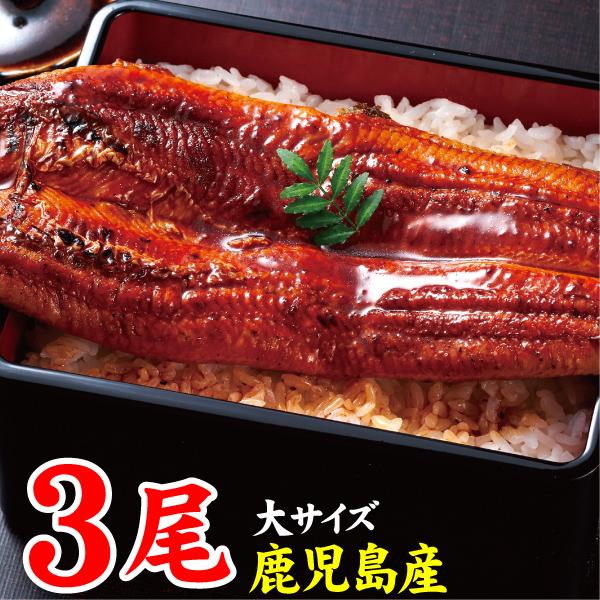 (ポイント2倍) うなぎ 国産 ギフト 鰻 蒲焼き 鹿児島 170g 3尾 お取り寄せ 誕生日 プレ...