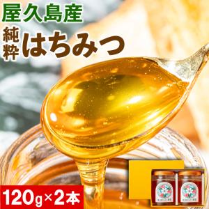 はちみつ 蜂蜜 国産 非加熱 無添加 屋久島産 純粋はちみつ 120g 2本 ギフト 瓶 百花 生はちみつ