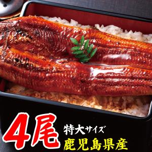 (3,200円/尾) うなぎ 父の日 2023 プレゼント 国産 鹿児島 産 特大 うなぎ 蒲焼き 4尾 セット 冷凍 ギフト お取り寄せ