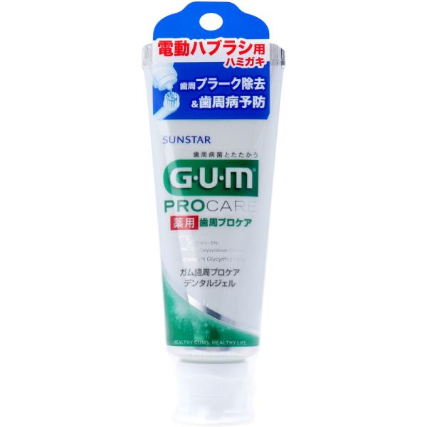 歯磨き粉 歯周病 GUM 薬用 ガム歯周プロケア デンタルジェル 電動ハブラシ用 65g (K)