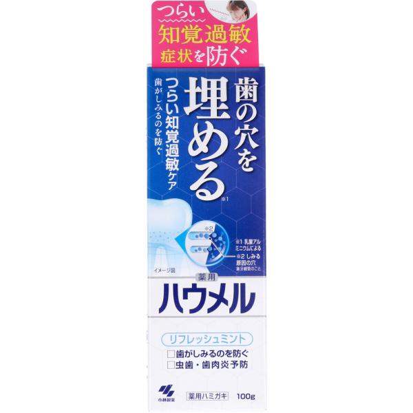 歯磨き粉 薬用ハミガキ ハウメル フレッシュミント 100g (K)