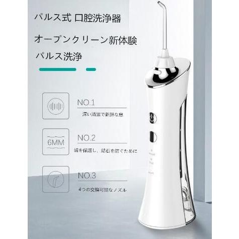 口腔洗浄器 ジェットウォッシャー150ml歯ぐきケア USB充電 4つノズル 3つモード