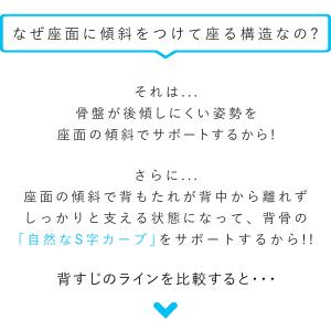 ZAGUN フロアチェア スラント2 日本製 ...の詳細画像2
