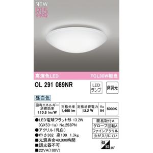 OL291089NR オーデリック LED小型シーリングライト 昼白色【OL291089ND