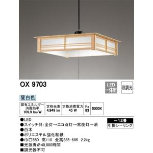 Panasonic（パナソニック） NDN28315W LEDダウンライト本体(電源