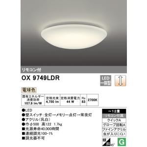 OD361055R 保護チューブ欠品 在庫限り オーデリック ODELIC LEDダウン
