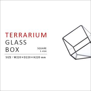 ガラスボックス スクエア Ｓサイズ テラリウム ガラスボックス コレクションケース ディスプレイケース スクエア トライアングル 小物収納 小物入れ｜zaka-tea